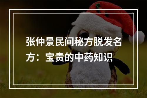 张仲景民间秘方脱发名方：宝贵的中药知识