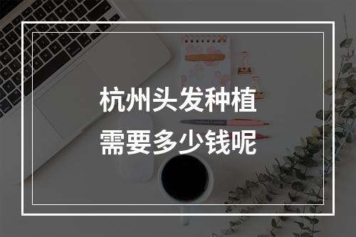 杭州头发种植需要多少钱呢