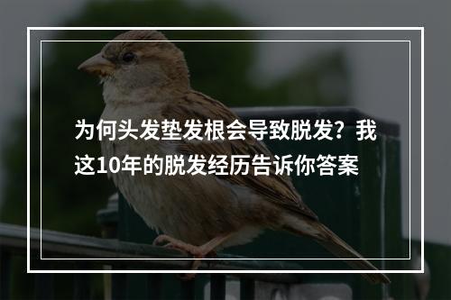 为何头发垫发根会导致脱发？我这10年的脱发经历告诉你答案