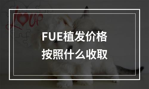 FUE植发价格按照什么收取