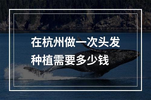 在杭州做一次头发种植需要多少钱