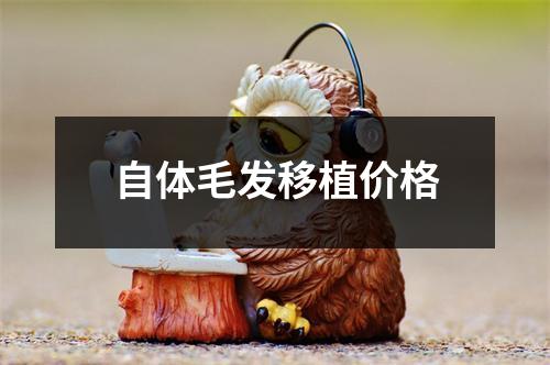 自体毛发移植价格