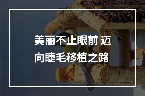 美丽不止眼前 迈向睫毛移植之路