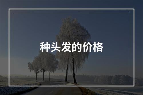 种头发的价格