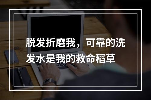 脱发折磨我，可靠的洗发水是我的救命稻草