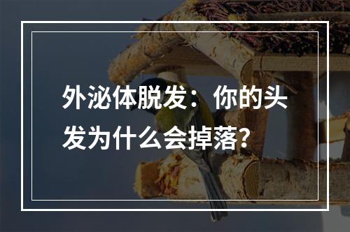 外泌体脱发：你的头发为什么会掉落？