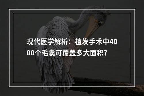 现代医学解析：植发手术中4000个毛囊可覆盖多大面积？