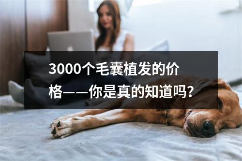 3000个毛囊植发的价格——你是真的知道吗？