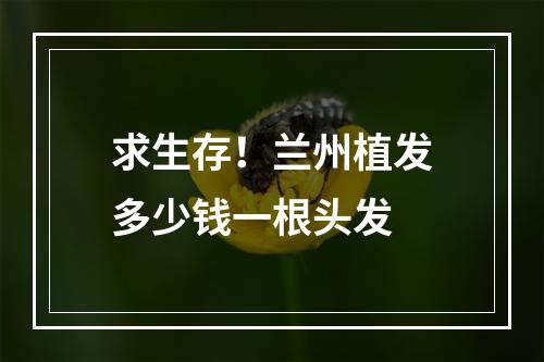 求生存！兰州植发多少钱一根头发