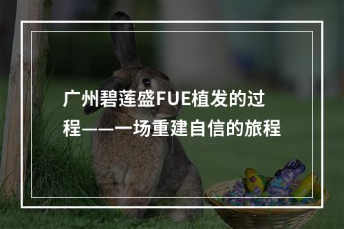 广州碧莲盛FUE植发的过程——一场重建自信的旅程