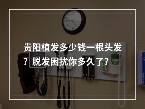 贵阳植发多少钱一根头发？脱发困扰你多久了？