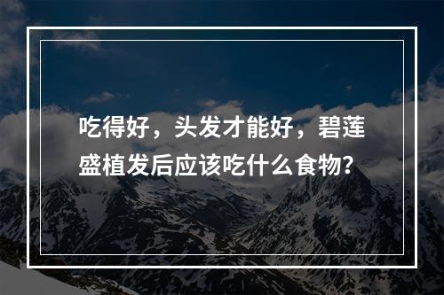 吃得好，头发才能好，碧莲盛植发后应该吃什么食物？