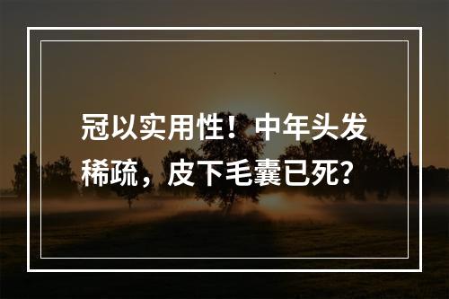 冠以实用性！中年头发稀疏，皮下毛囊已死？