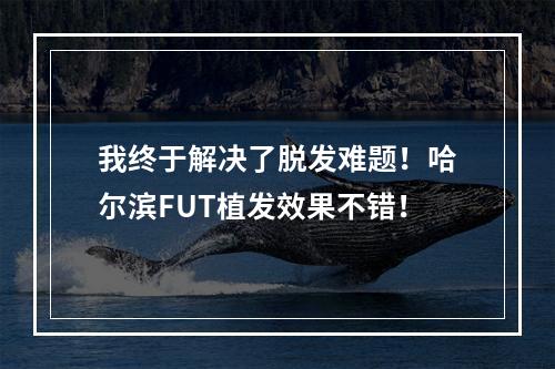 我终于解决了脱发难题！哈尔滨FUT植发效果不错！