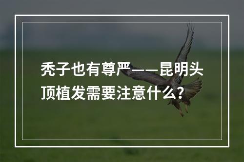 秃子也有尊严——昆明头顶植发需要注意什么？