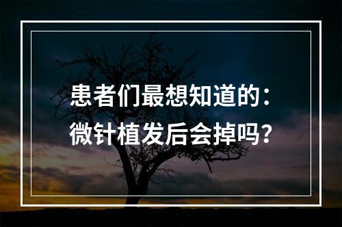 患者们最想知道的：微针植发后会掉吗？