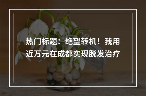 热门标题：绝望转机！我用近万元在成都实现脱发治疗