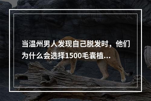 当温州男人发现自己脱发时，他们为什么会选择1500毛囊植发？