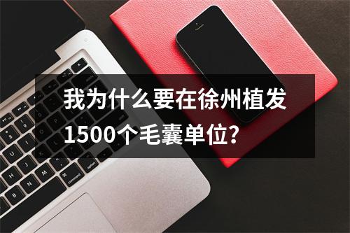 我为什么要在徐州植发1500个毛囊单位？