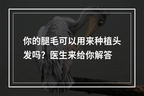 你的腿毛可以用来种植头发吗？医生来给你解答