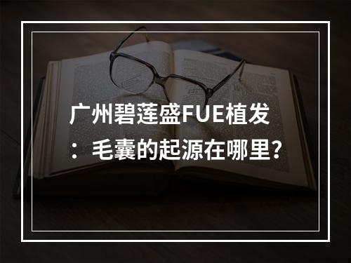 广州碧莲盛FUE植发：毛囊的起源在哪里？