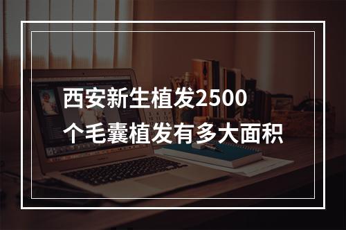 西安新生植发2500个毛囊植发有多大面积