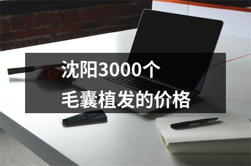 沈阳3000个毛囊植发的价格