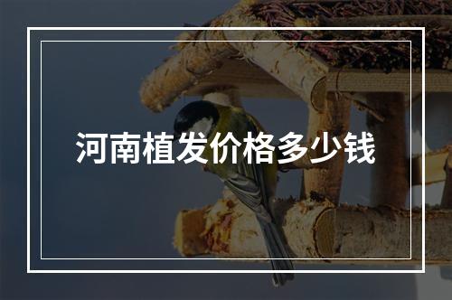 河南植发价格多少钱