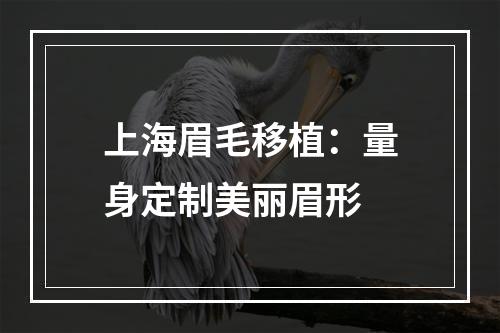 上海眉毛移植：量身定制美丽眉形