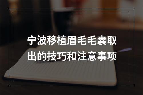 宁波移植眉毛毛囊取出的技巧和注意事项