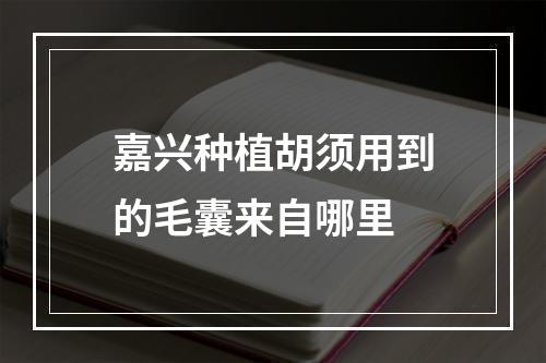 嘉兴种植胡须用到的毛囊来自哪里