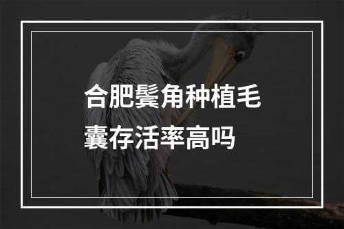 合肥鬓角种植毛囊存活率高吗