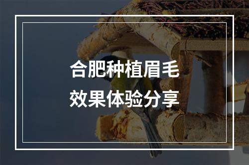 合肥种植眉毛效果体验分享