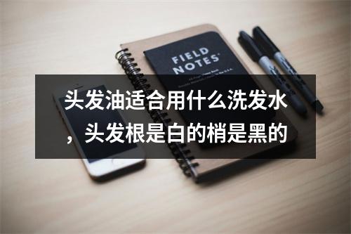 头发油适合用什么洗发水，头发根是白的梢是黑的