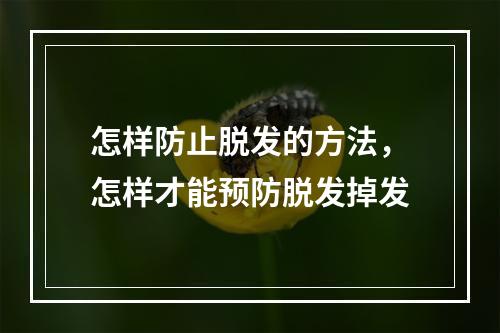 怎样防止脱发的方法，怎样才能预防脱发掉发