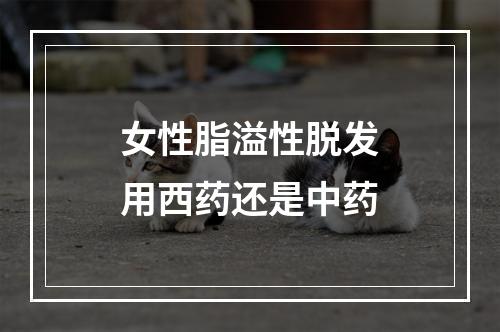 女性脂溢性脱发用西药还是中药