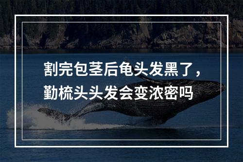 割完包茎后龟头发黑了，勤梳头头发会变浓密吗