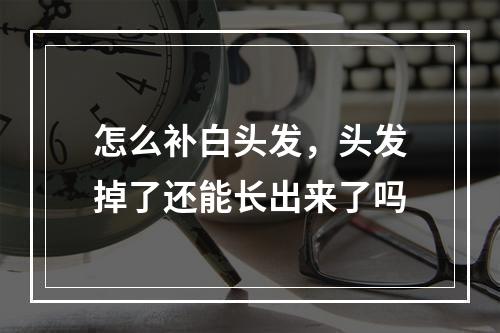 怎么补白头发，头发掉了还能长出来了吗