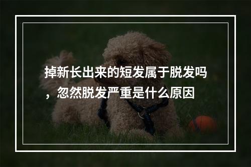 掉新长出来的短发属于脱发吗，忽然脱发严重是什么原因