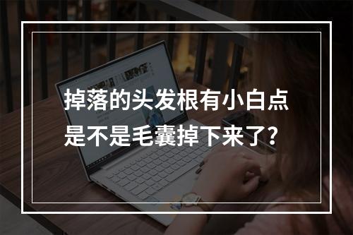 掉落的头发根有小白点是不是毛囊掉下来了？