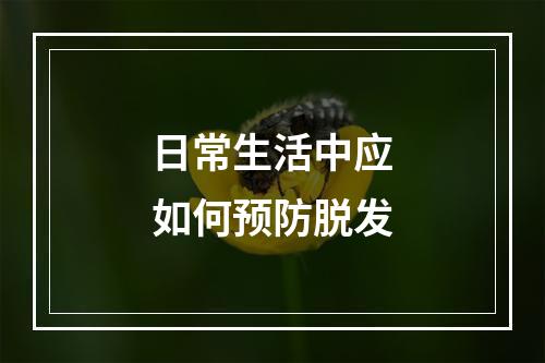 日常生活中应如何预防脱发