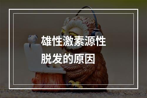 雄性激素源性脱发的原因