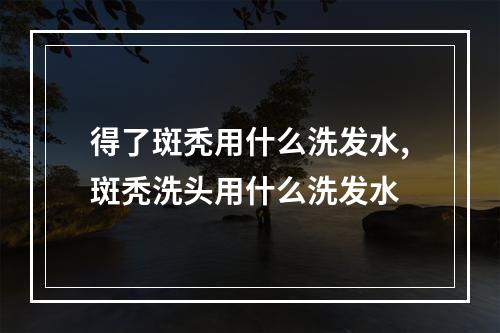 得了斑秃用什么洗发水,斑秃洗头用什么洗发水