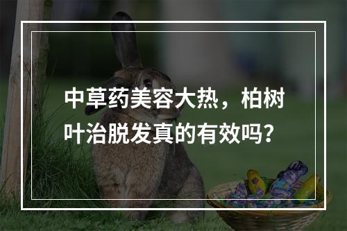 中草药美容大热，柏树叶治脱发真的有效吗？