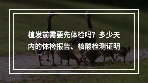 植发前需要先体检吗？多少天内的体检报告、核酸检测证明