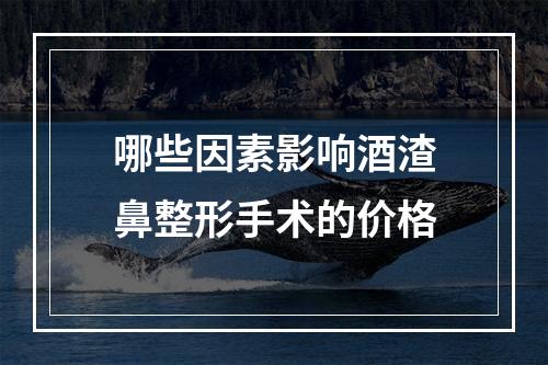 哪些因素影响酒渣鼻整形手术的价格