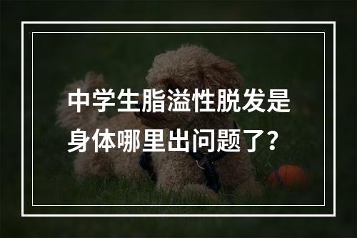 中学生脂溢性脱发是身体哪里出问题了？