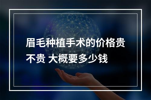 眉毛种植手术的价格贵不贵 大概要多少钱