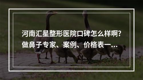 河南汇星整形医院口碑怎么样啊？做鼻子专家、案例、价格表一条路！