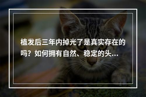 植发后三年内掉光了是真实存在的吗？如何拥有自然、稳定的头发？